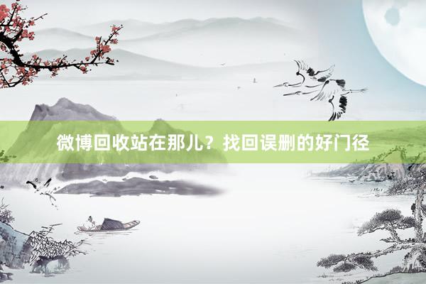 微博回收站在那儿？找回误删的好门径
