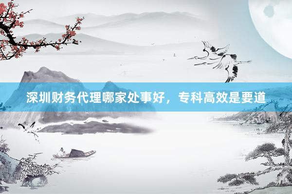 深圳财务代理哪家处事好，专科高效是要道