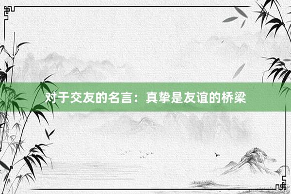 对于交友的名言：真挚是友谊的桥梁